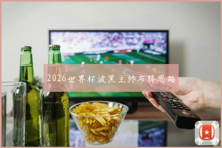 2026世界杯波黑主帅布阵思路