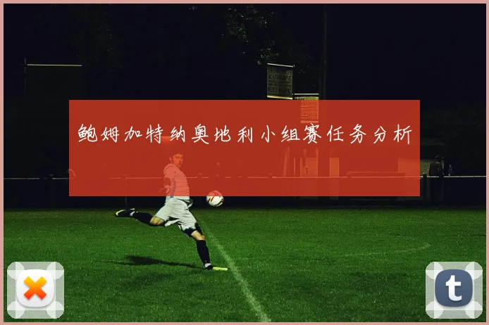 鲍姆加特纳奥地利小组赛任务分析