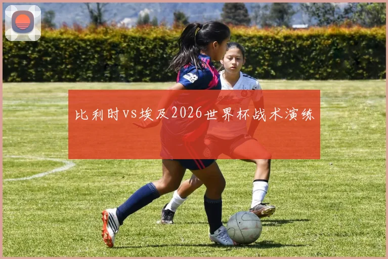 比利时vs埃及2026世界杯战术演练