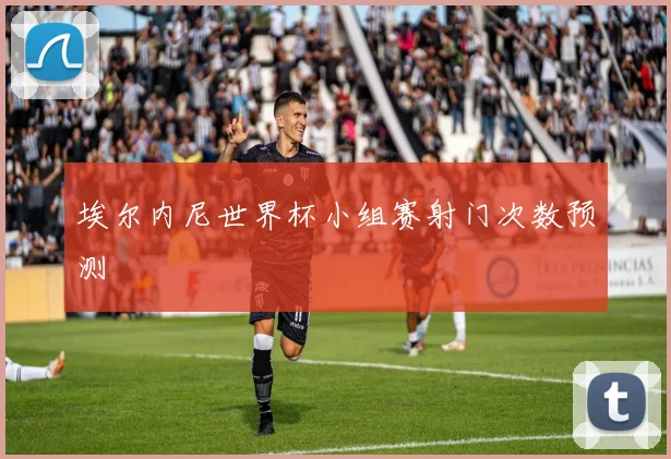 埃尔内尼世界杯小组赛射门次数预测