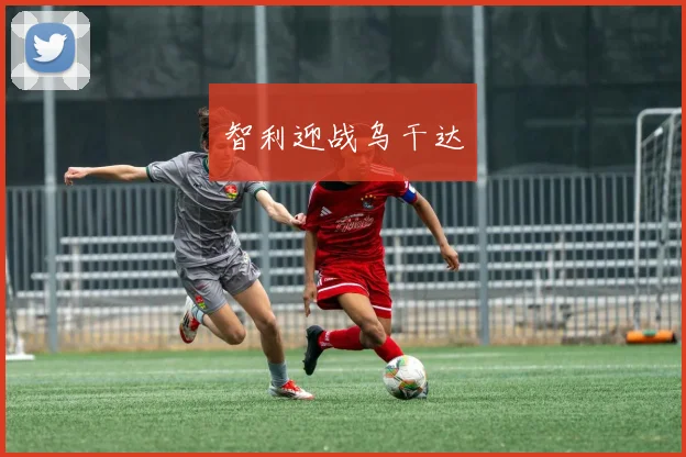 智利迎战乌干达