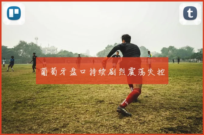 葡萄牙盘口持续剧烈震荡失控