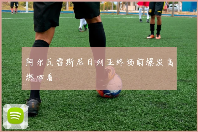 阿尔瓦雷斯尼日利亚终场前爆发高燃回看