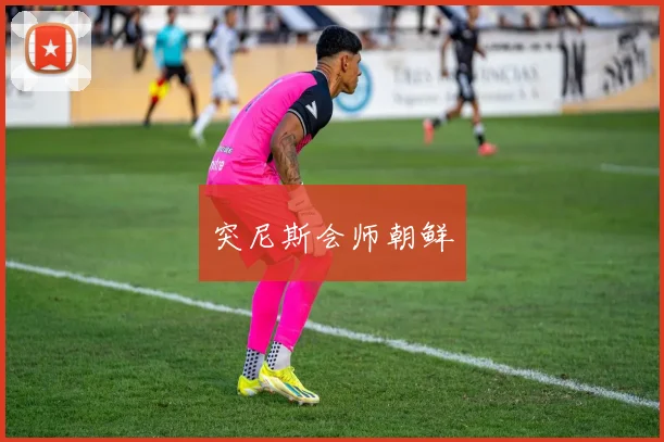 突尼斯会师朝鲜