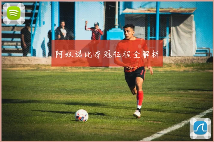 阿奴诺比夺冠征程全解析