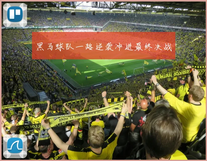 黑马球队一路逆袭冲进最终决战