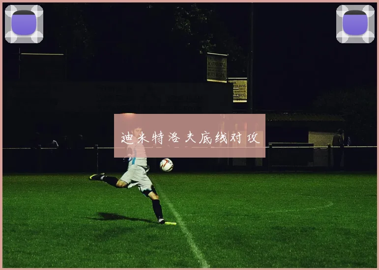 迪米特洛夫底线对攻