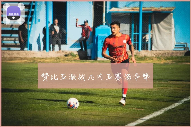 赞比亚激战几内亚赛场争锋