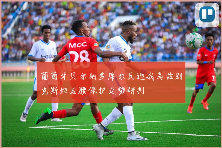 葡萄牙贝尔纳多席尔瓦迎战乌兹别克斯坦后腰保护走势研判
