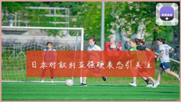日本对叙利亚强硬表态引关注