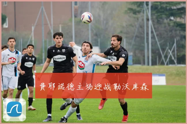 费耶诺德主场迎战勒沃库森