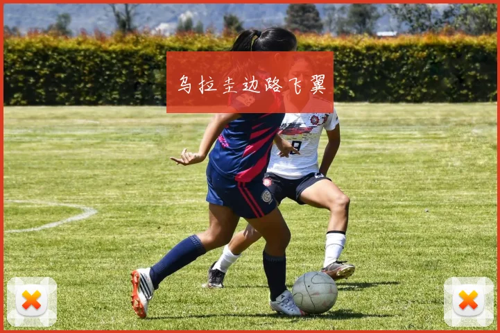 乌拉圭边路飞翼