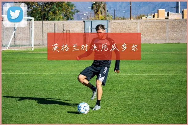 英格兰对决厄瓜多尔