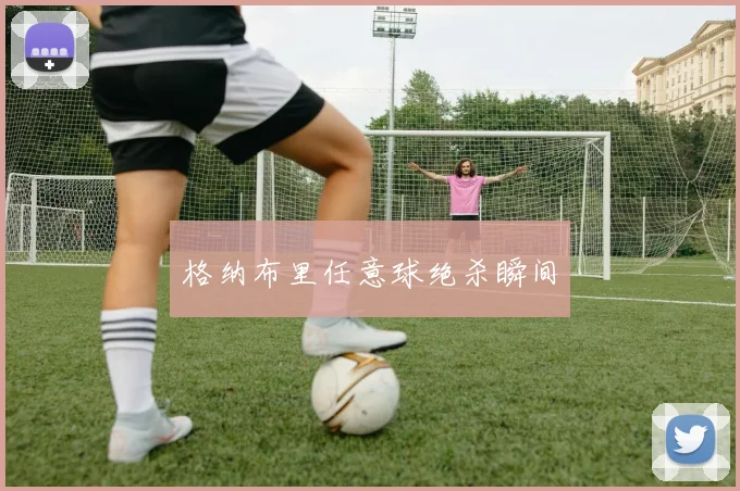 格纳布里任意球绝杀瞬间