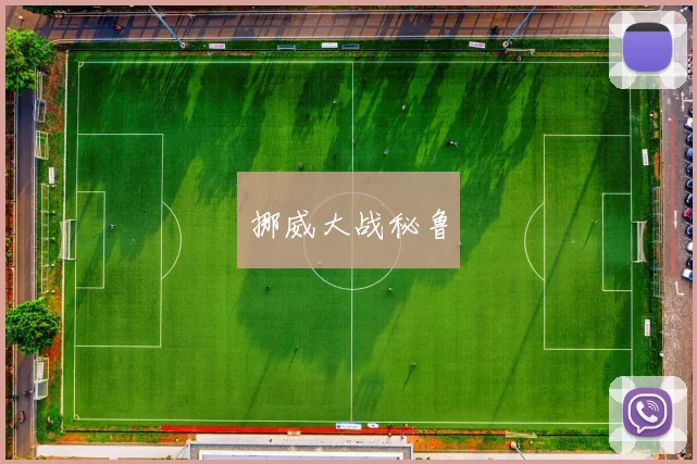挪威大战秘鲁