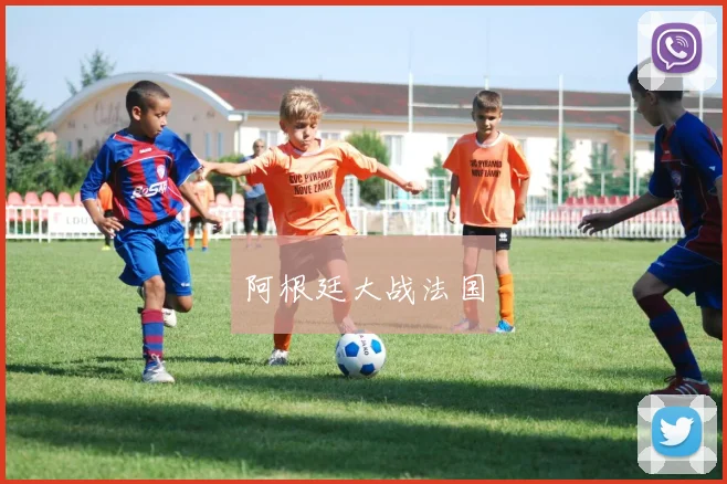 阿根廷大战法国
