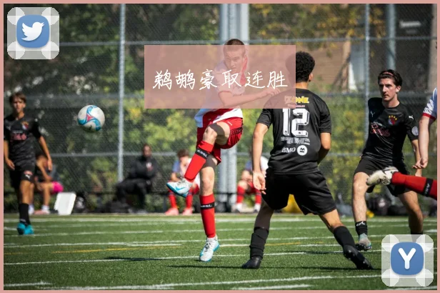 鹈鹕豪取连胜