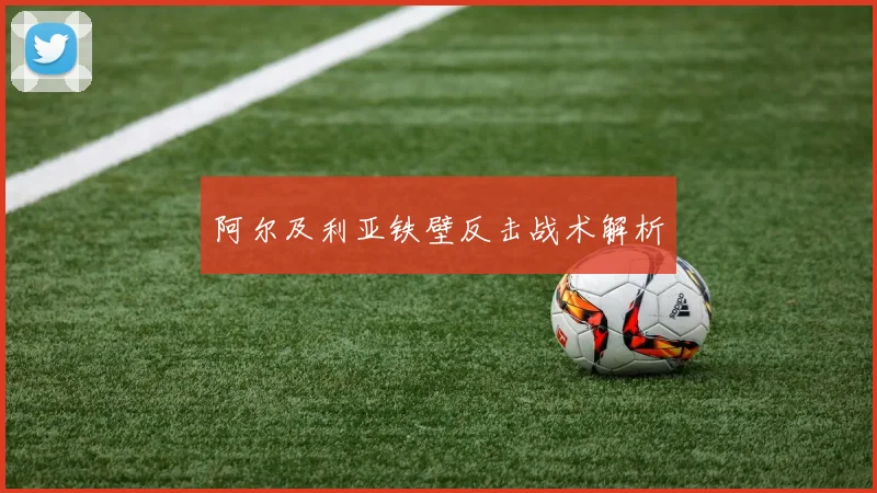 阿尔及利亚铁壁反击战术解析