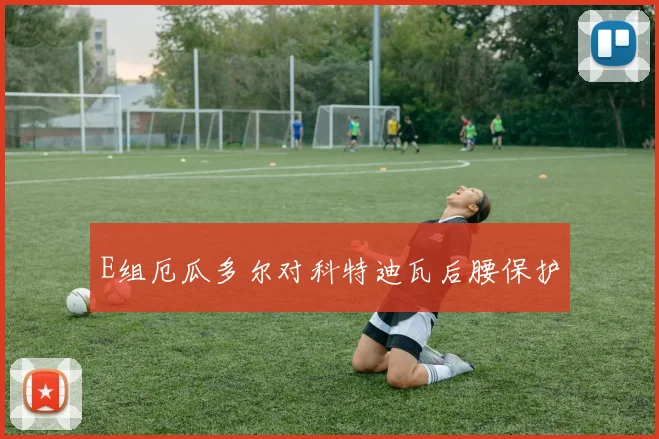 E组厄瓜多尔对科特迪瓦后腰保护