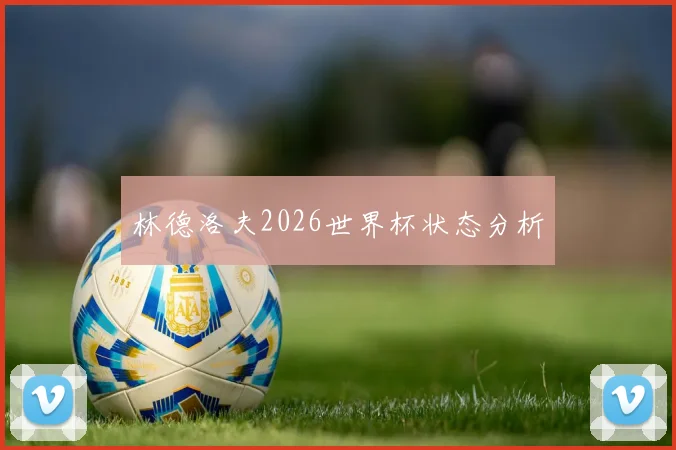 林德洛夫2026世界杯状态分析